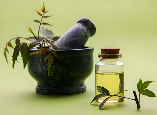 Ayurvedic Medicine Shops - Prithvi Enterprises