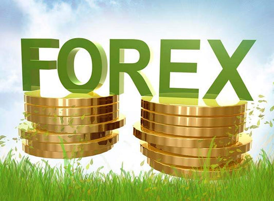Foreign Exchange Agents - Prithvi Enterprises