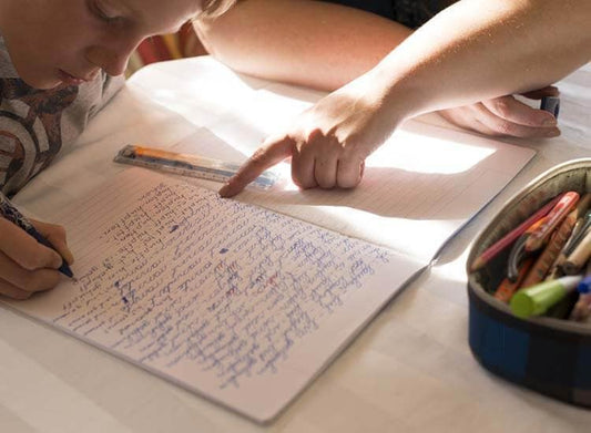 Home Tutors - Prithvi Enterprises