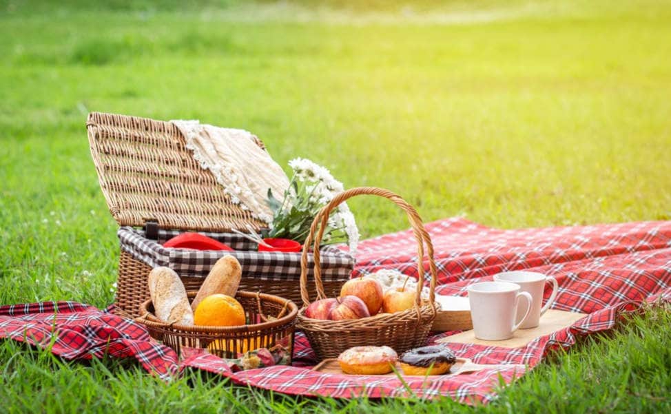 Picnic Spots - Prithvi Enterprises