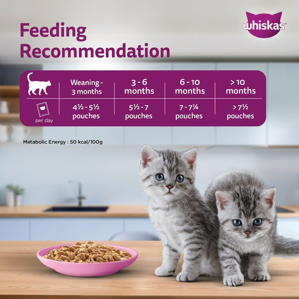 Whiskas Wet Kitten Food -Tuna in Jelly (2-12 Months) : 14 x 80 g
