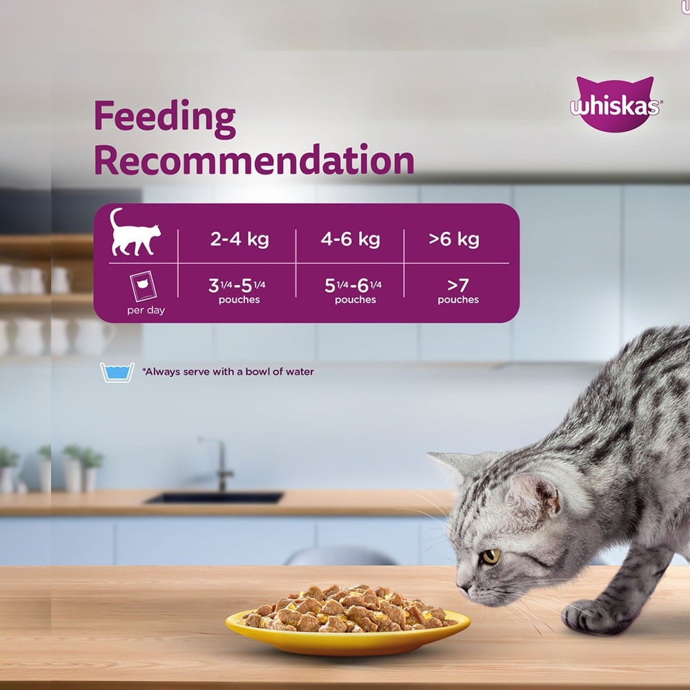 Whiskas Adult Wet Cat Food -Chicken in Gravy (1+ Years) : 14 x 80 g