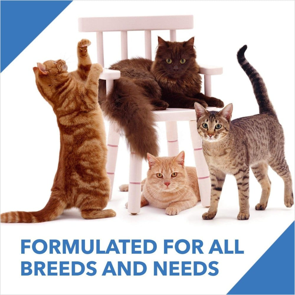 Drools Ocean Fish Dry Cat Food (Adult) : 1.2 kg