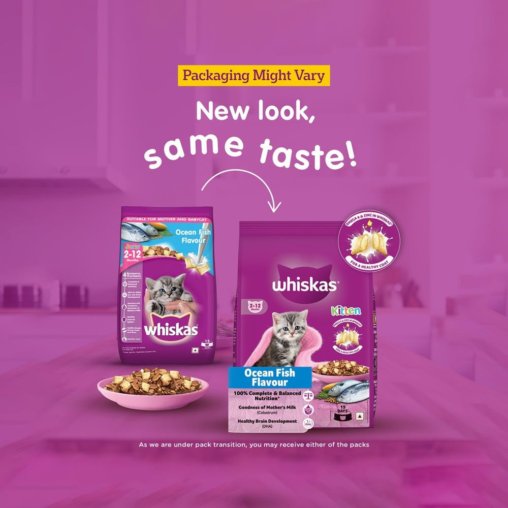 Whiskas Dry Kitten Food -Ocean Fish Flavour (2-12 months) : 1.1 kg
