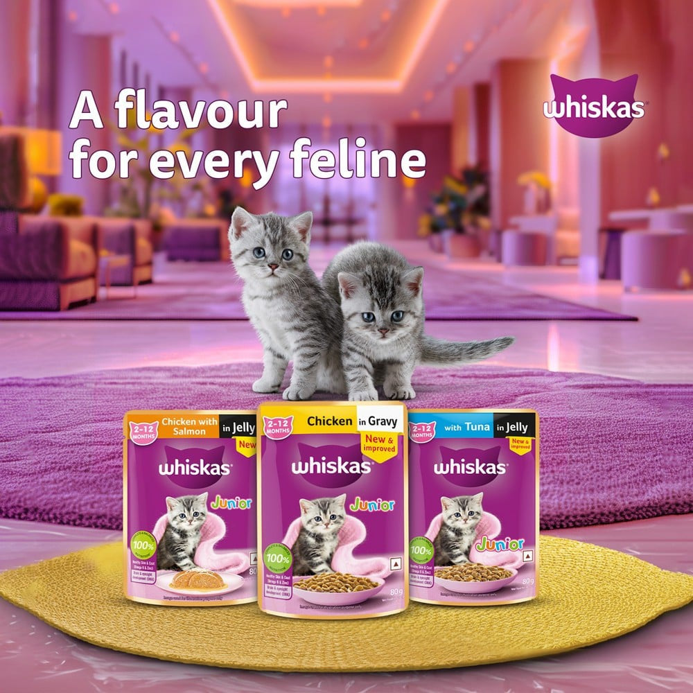 Whiskas Wet Kitten Food -Tuna in Jelly (2-12 Months) : 14 x 80 g