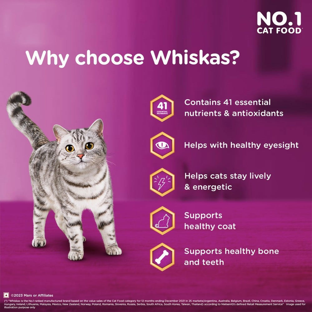 Whiskas Adult Dry Cat Food -Ocean Fish Flavour (1+ Years) - Pack of 2 : 2 x 3 kg