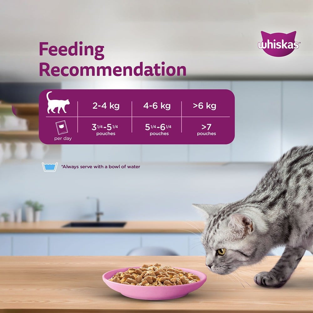 Whiskas Adult Wet Cat Food -Salmon in Gravy (1+ Years) : 14 x 80 g