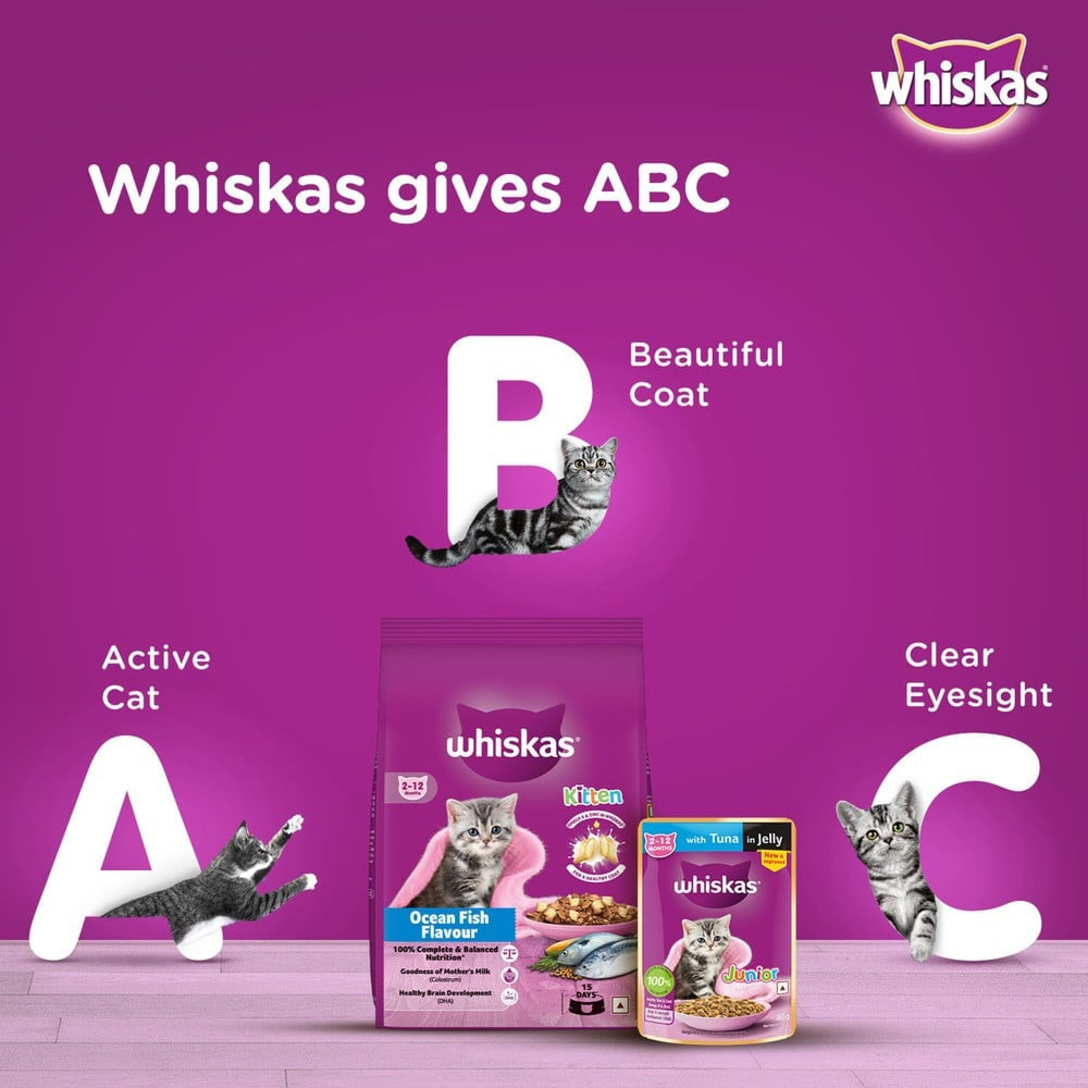 Whiskas Dry Kitten Food -Ocean Fish Flavour (2-12 months) : 1.1 kg