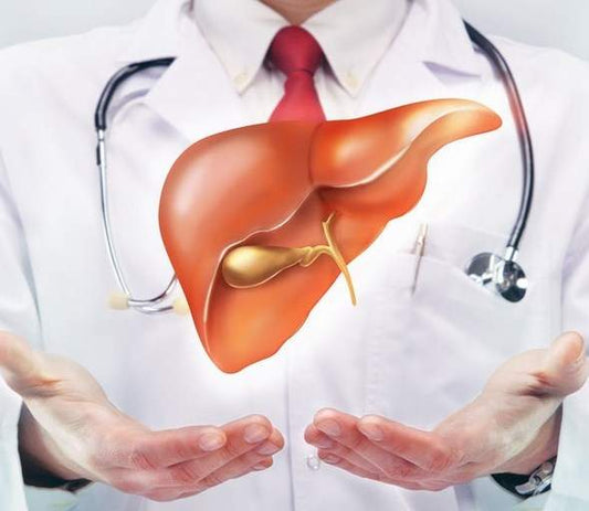 Gastroenterologists - Prithvi Enterprises