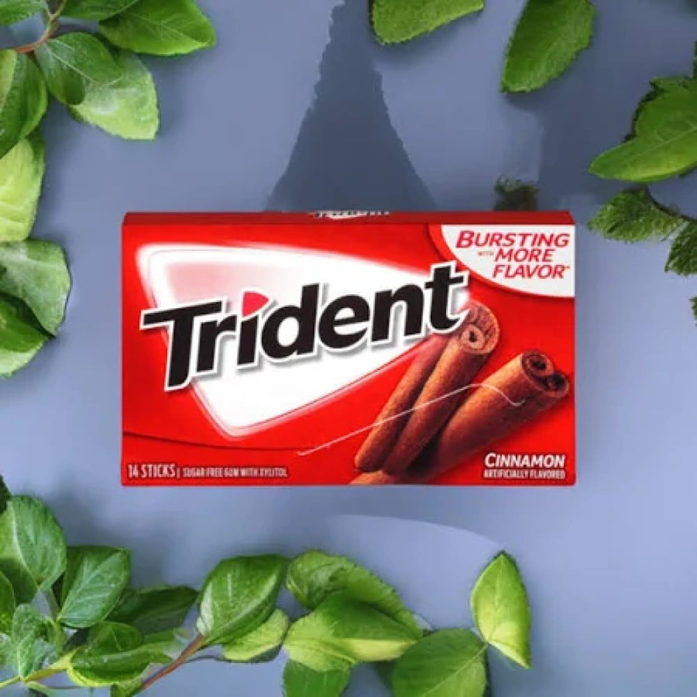 Trident Cinnamon Gum : 1 pack (14 sticks)