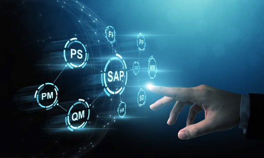 SAP Training Institutes