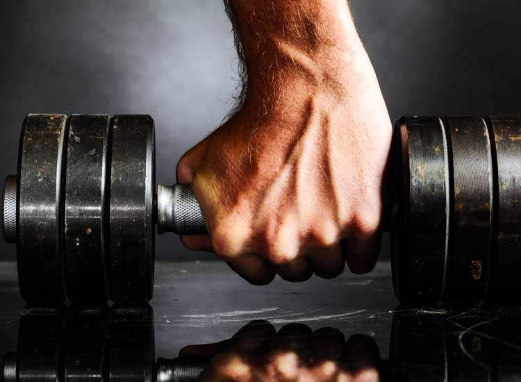 Fitness Equipment Dealers
