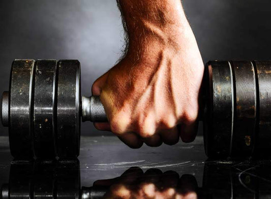 Fitness Equipment Dealers