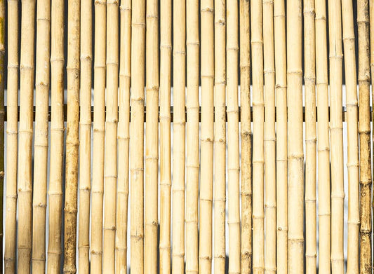 Bamboo Dealers