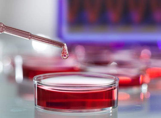 Blood Testing Centres