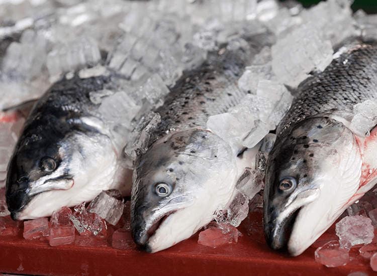 Fish Retailers