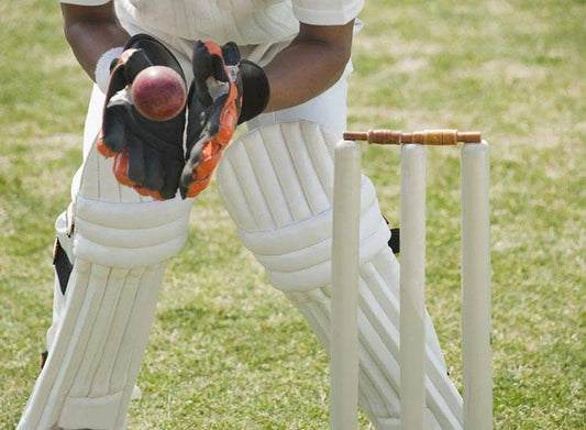 Cricket Coaching Classes - Prithvi Enterprises