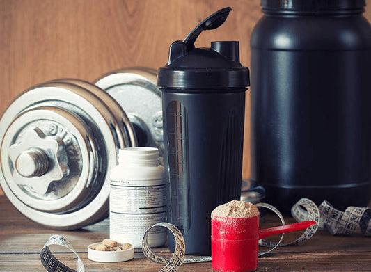 Protein Supplement Dealers