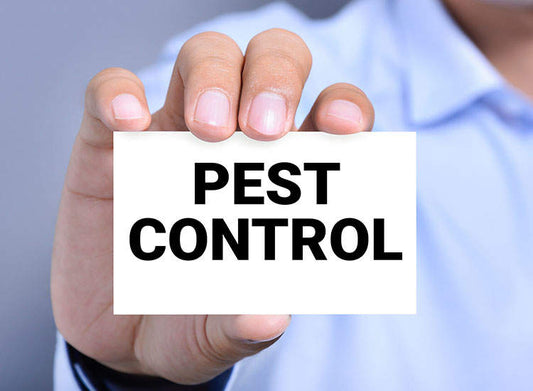 Pest Control Services