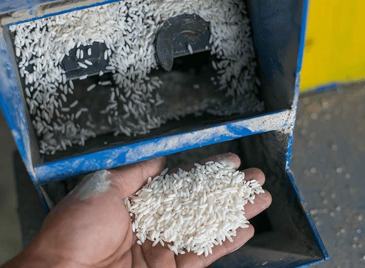 Rice Mills
