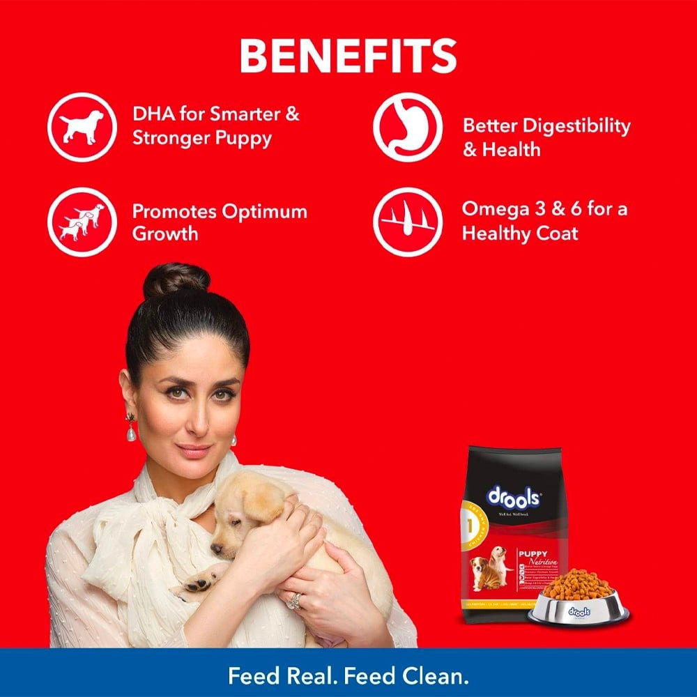 Drools Chicken & Egg Dry Food (Puppy) : 1.2 kg