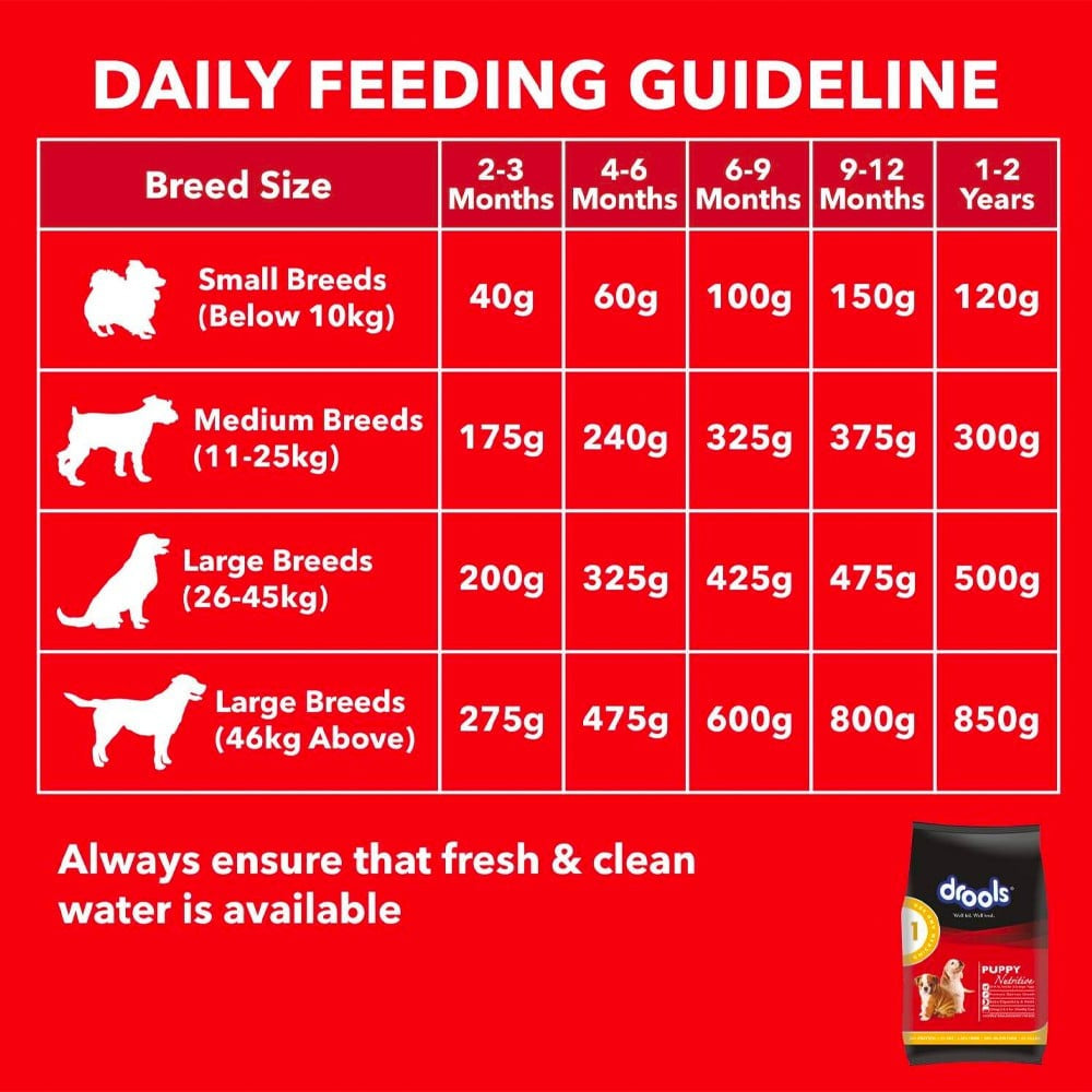 Drools Chicken & Egg Dry Food (Puppy) : 1.2 kg