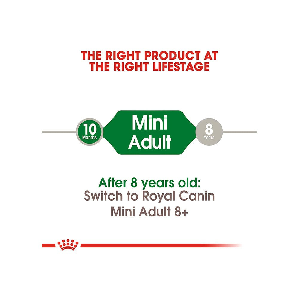 Royal Canin Mini Dry Food Adult : 4 kg