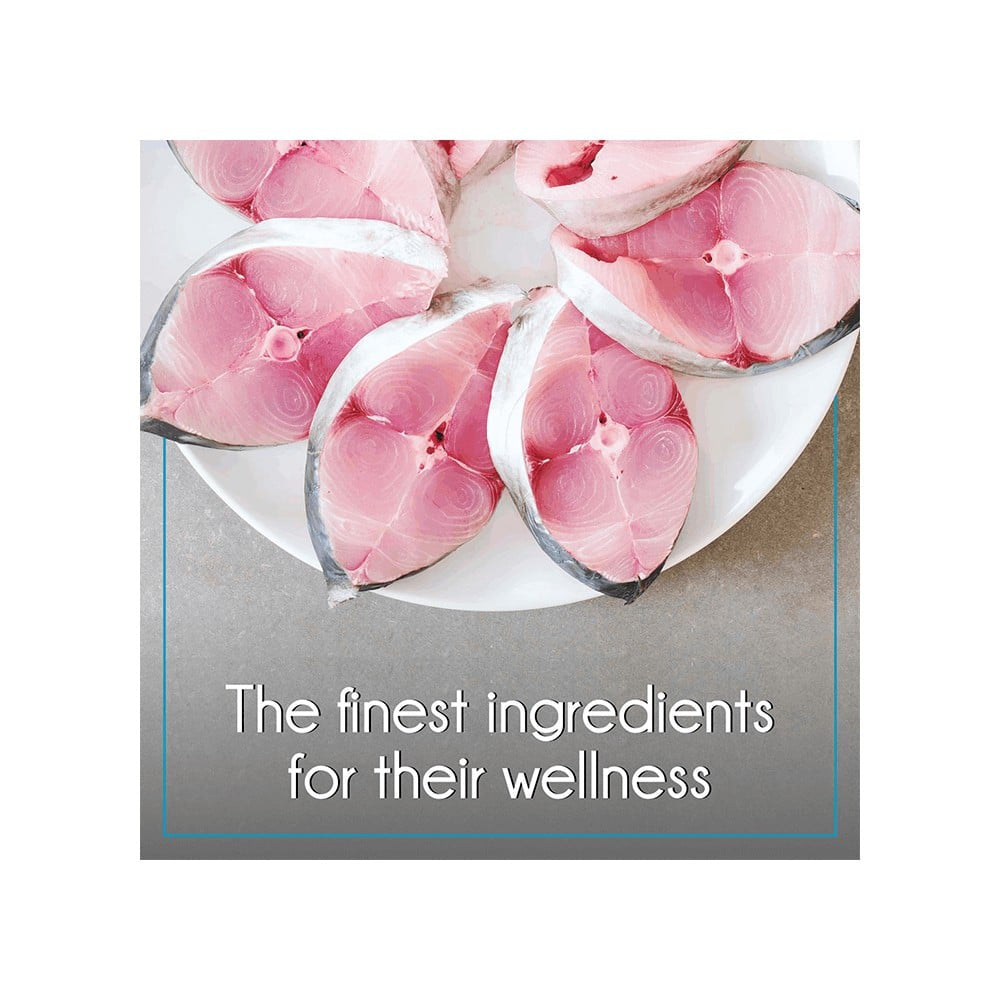 PurePet Ocean Fish Dry Cat Food (Adult) : 1 kg