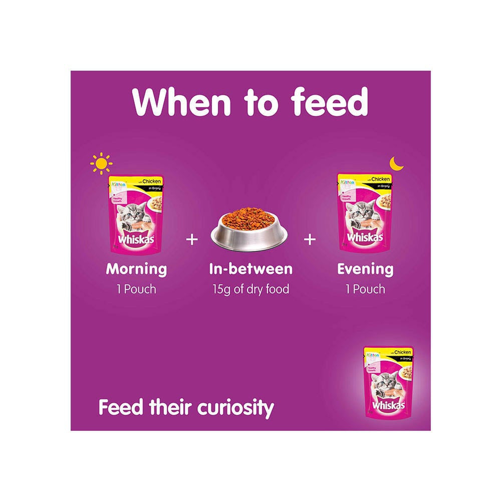 Whiskas Kitten Wet Wet Kitten Food -Chicken in Gravy (2-12 Months) - Pack of 5 : 5 x 80 g
