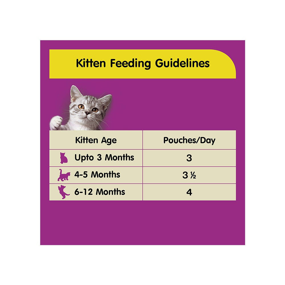 Whiskas Kitten Wet Wet Kitten Food -Chicken in Gravy (2-12 Months) - Pack of 5 : 5 x 80 g