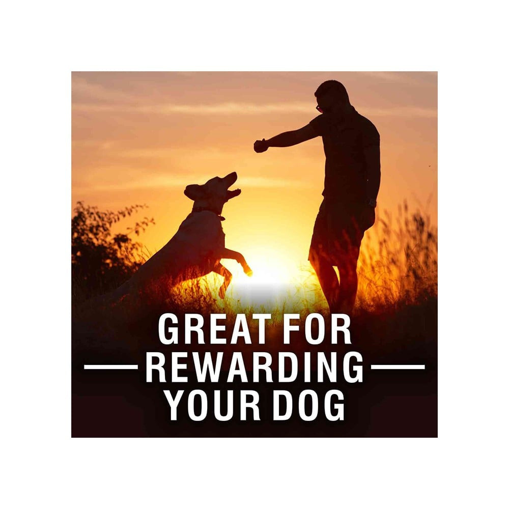 PurePet Biscuit with Real Chicken Dog Treat : 800 g