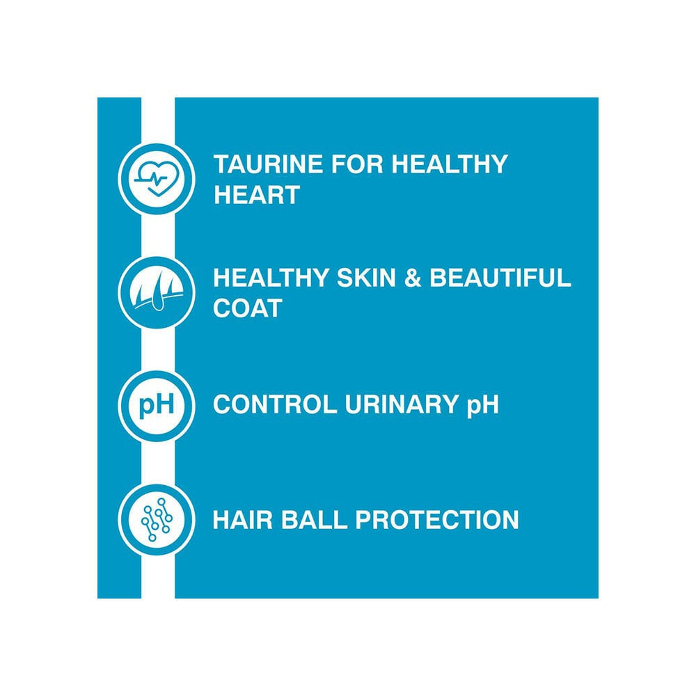 PurePet Ocean Fish Dry Kitten Food (Kitten) : 1.2 kg