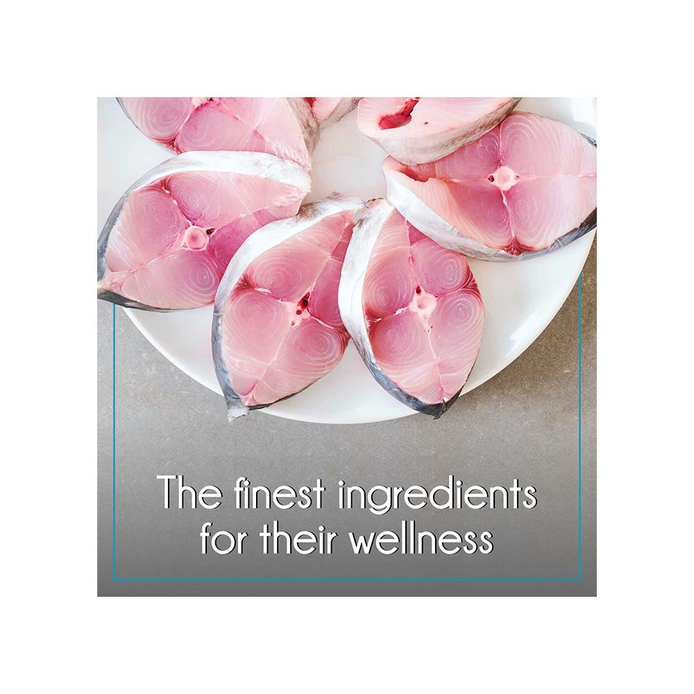 PurePet Ocean Fish Dry Kitten Food (Kitten) : 1.2 kg