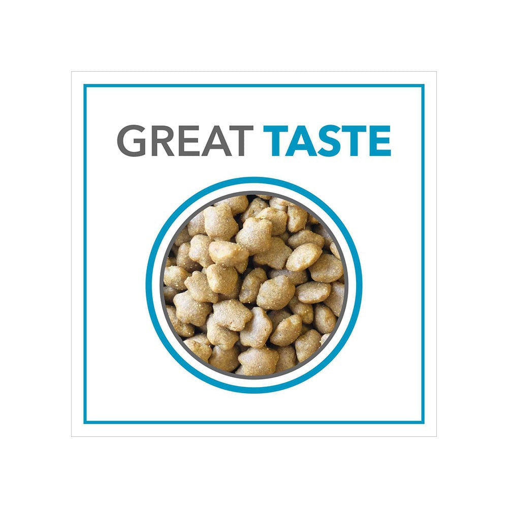 PurePet Ocean Fish Dry Kitten Food (Kitten) : 1.2 kg