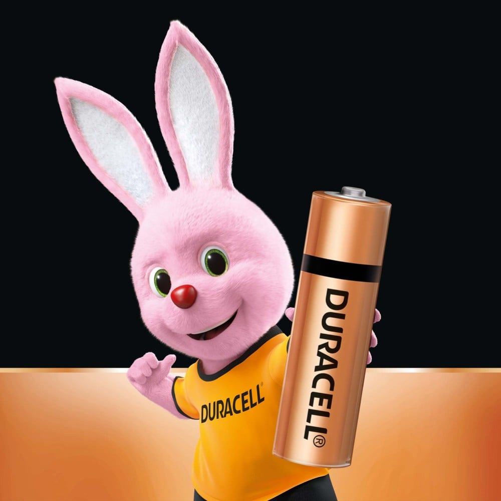 Duracell AA Alkaline Battery : 1 pack (4 pieces)