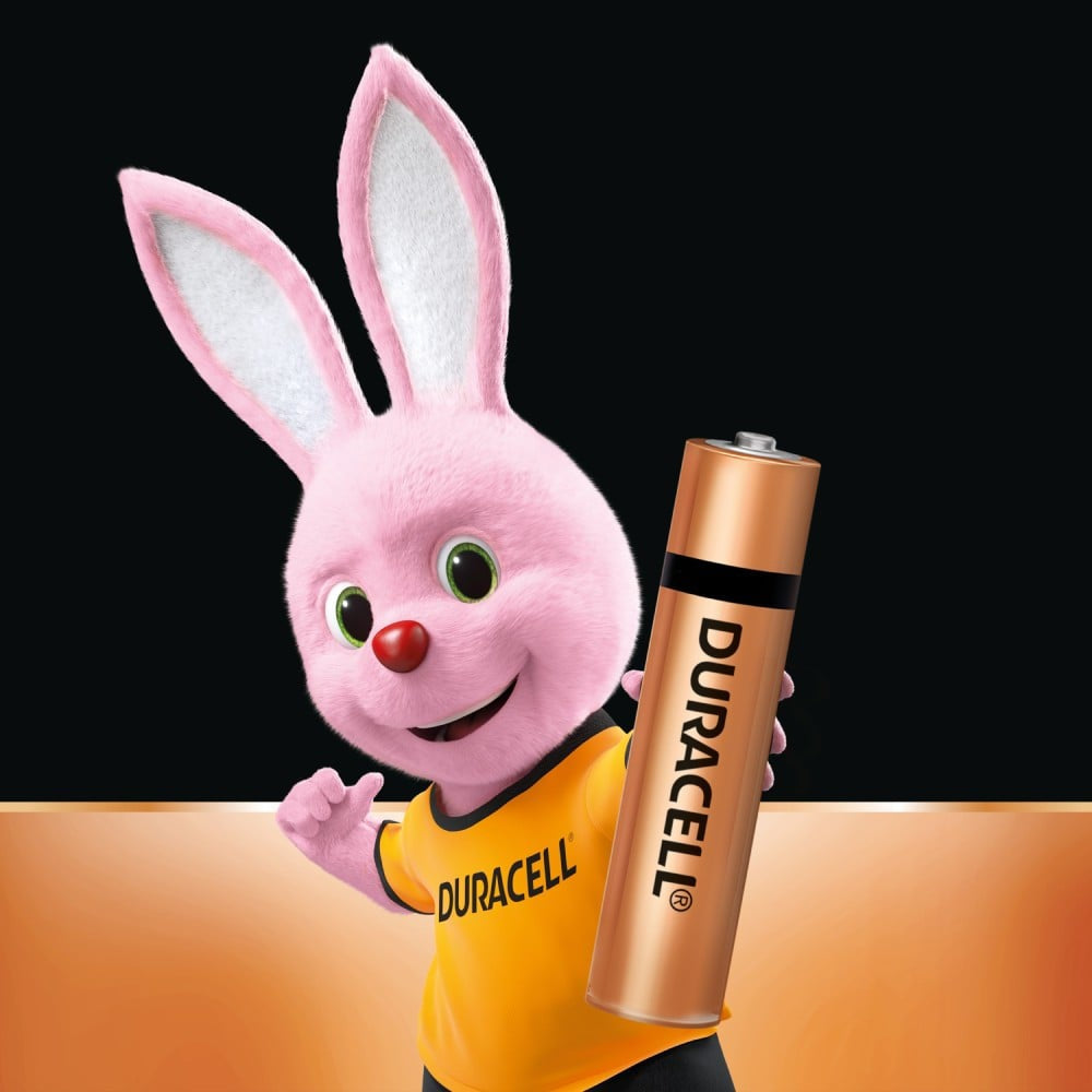 Duracell AAA Alkaline Battery : 1 pack (4 pieces)