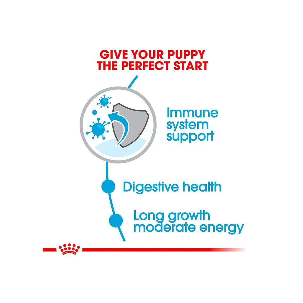 Royal Canin Maxi Puppy Dog Food : 1 kg