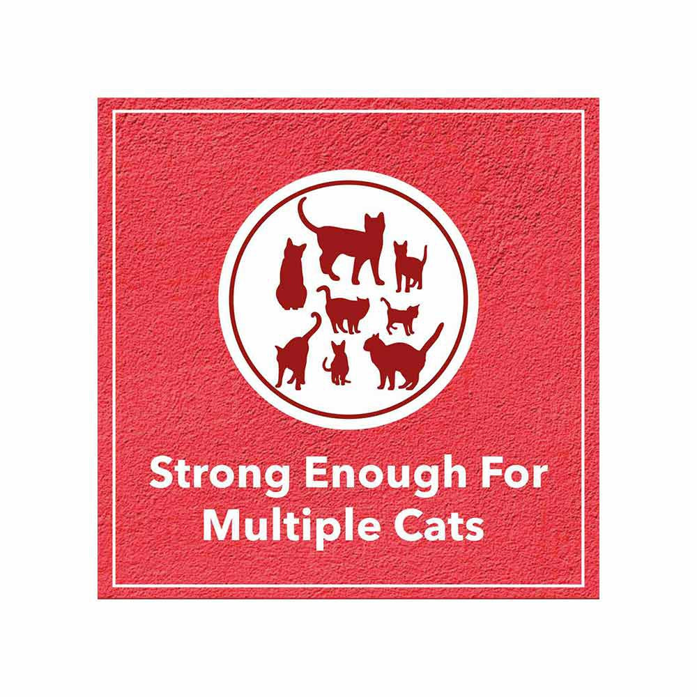 Drools Lavender Fragrance Clumping Cat Litter : 5 kg