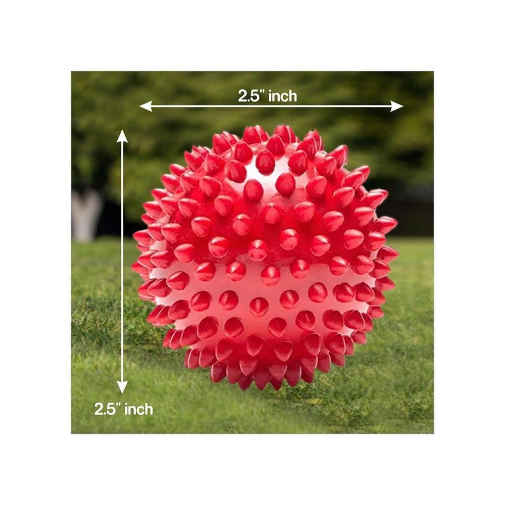 Drools Spike Ball Dog Chew Toy : 1 piece
