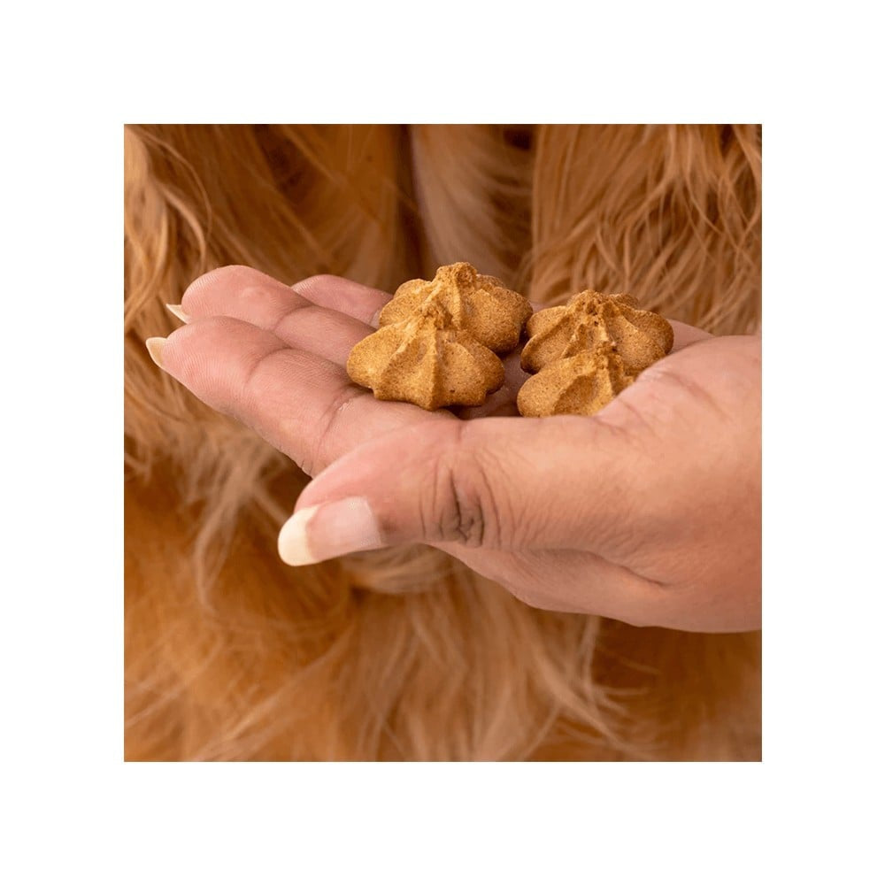 HUFT Apple Goat Milk Premium Dog Cookies : 200 g