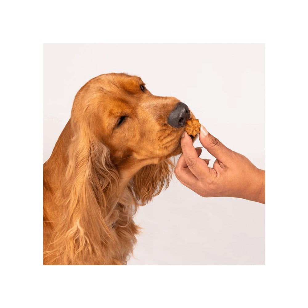 HUFT Apple Goat Milk Premium Dog Cookies : 200 g