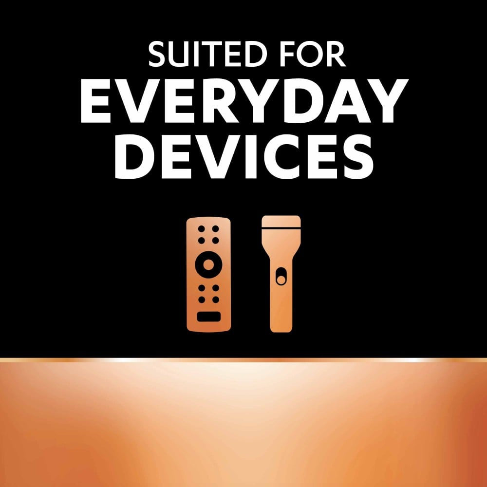 Duracell AAA Alkaline Battery : 1 pack (10 pieces)