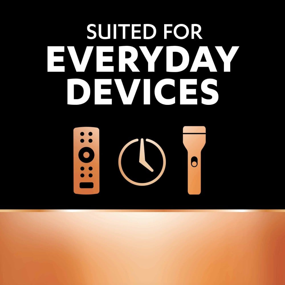 Duracell AA Alkaline Battery : 1 pack (10 pieces)