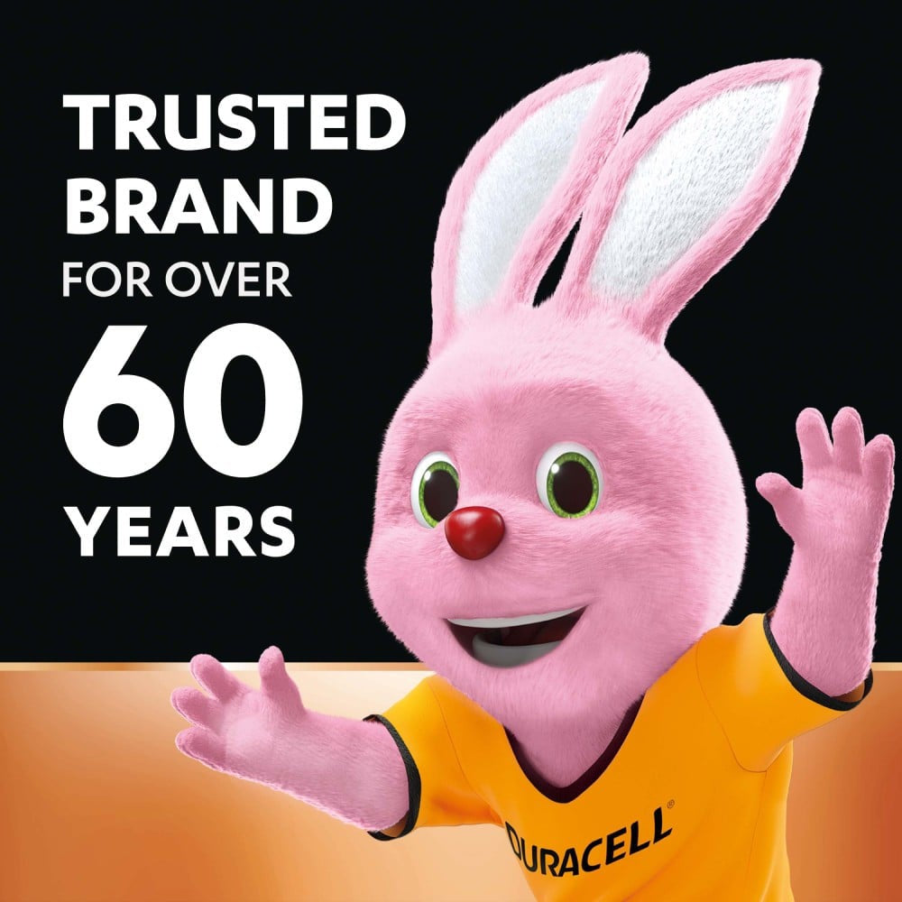 Duracell AA Alkaline Battery : 1 pack (10 pieces)