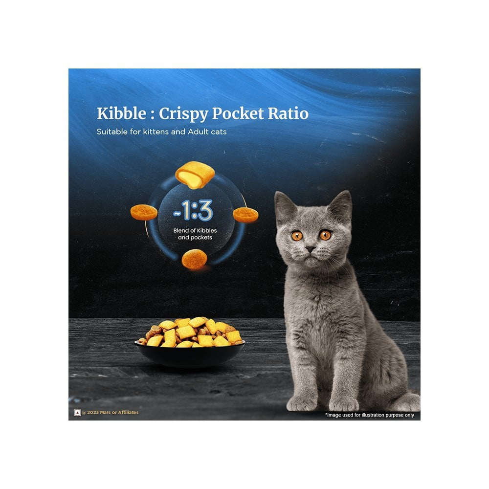 Sheba Salmon Flavour Dry Cat Food (For Kitten and Adult) : 1.5 kg