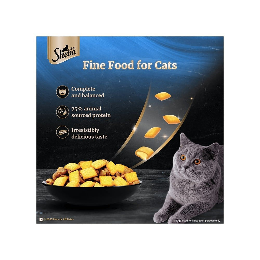 Sheba Salmon Flavour Dry Cat Food (For Kitten and Adult) : 1.5 kg