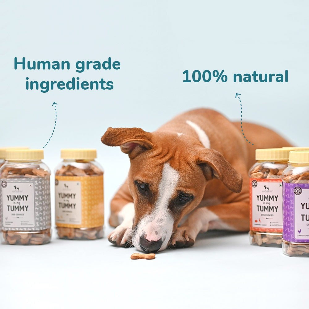 HUFT Yummy In My Tummy Dog Biscuit (Chicken & Cheese Flavour) : 800 g