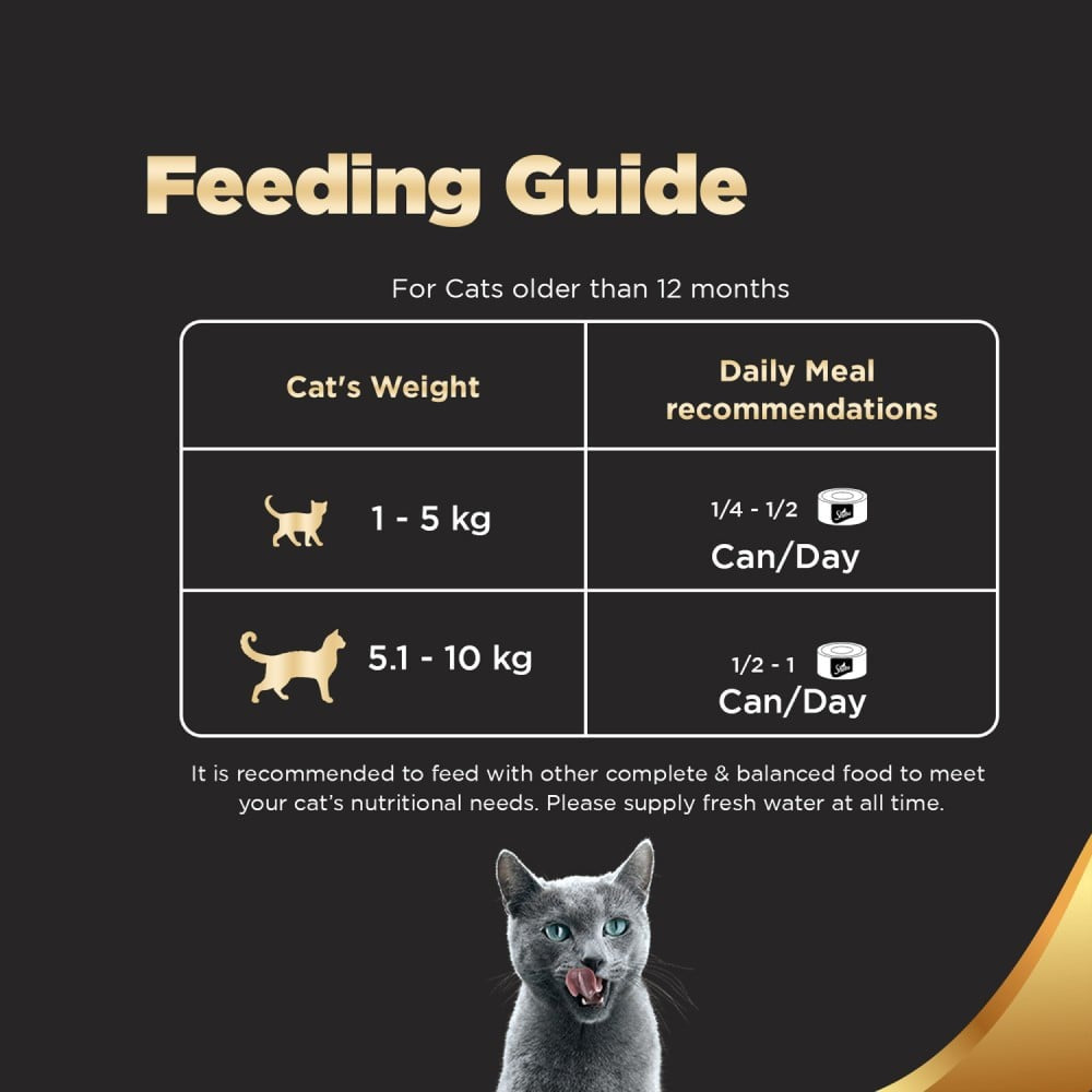 Sheba Deluxe - Tuna Fillets & Whole Prawn in Gravy Wet Cat Food - Pack of 2 : 2 x 85 g