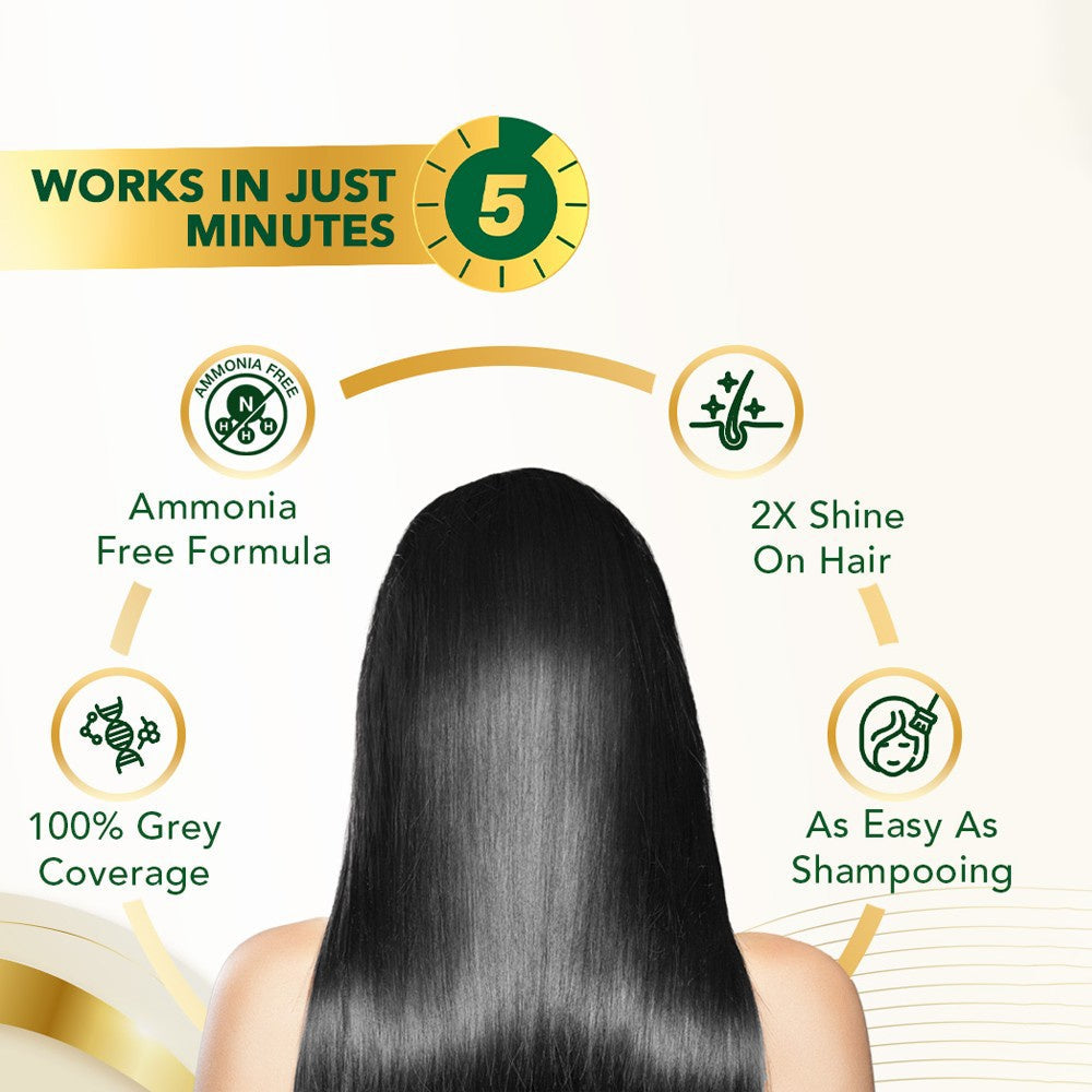 Streax Insta Shampoo Hair Colour (Natural Black) : 1 pack