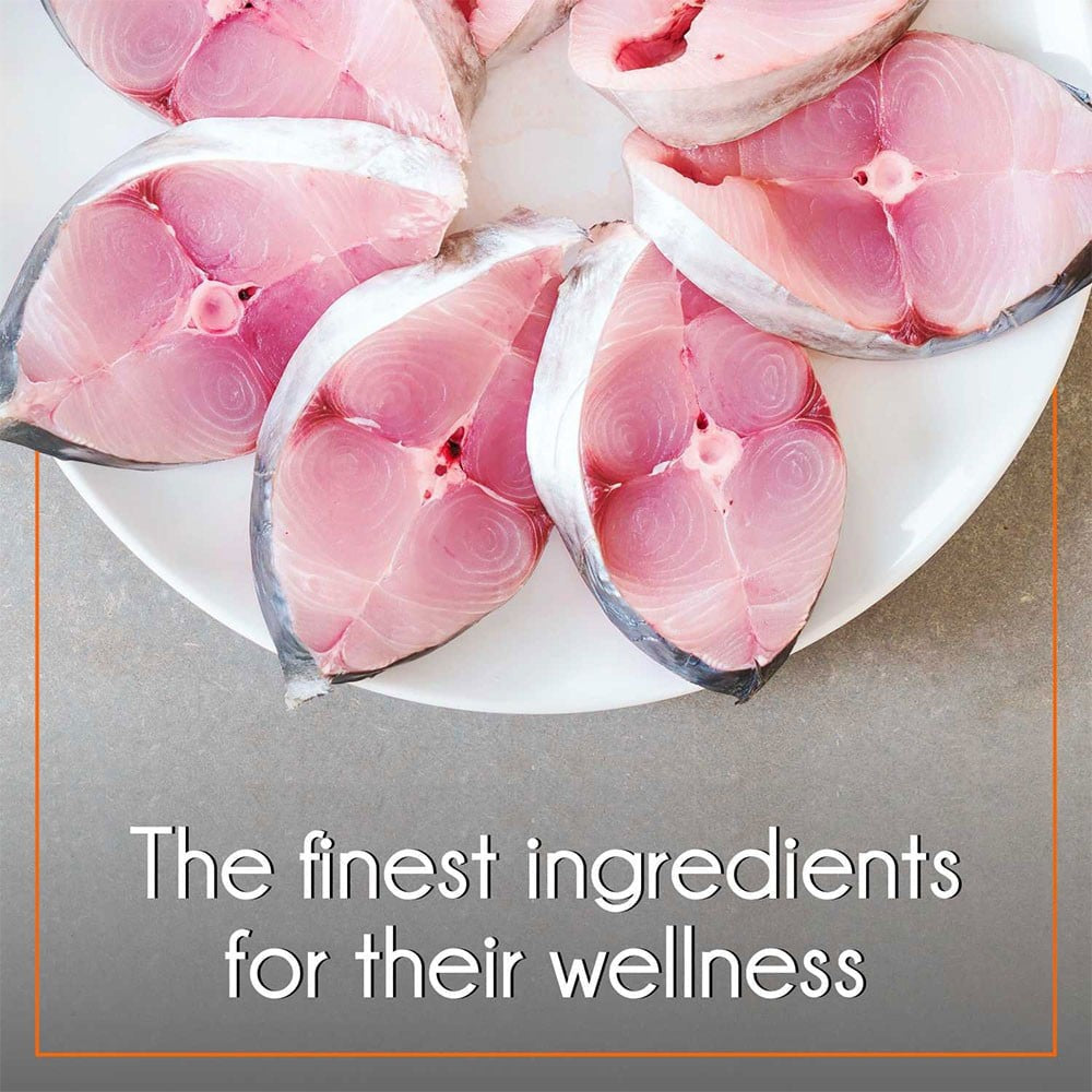 PurePet Mackerel Adult Cat Food : 1 kg